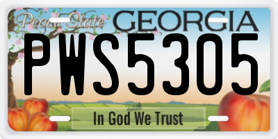 GA license plate PWS5305