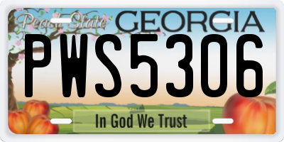 GA license plate PWS5306
