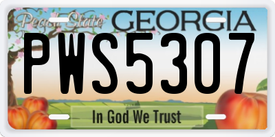 GA license plate PWS5307
