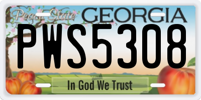 GA license plate PWS5308