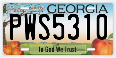 GA license plate PWS5310