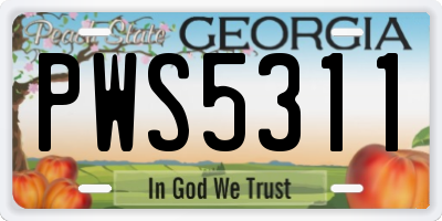 GA license plate PWS5311