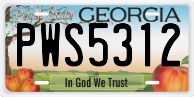 GA license plate PWS5312