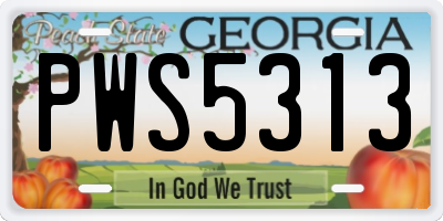 GA license plate PWS5313