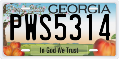 GA license plate PWS5314