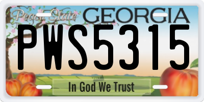 GA license plate PWS5315