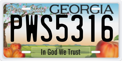 GA license plate PWS5316