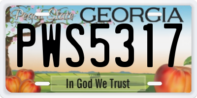 GA license plate PWS5317