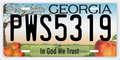 GA license plate PWS5319