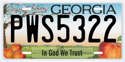 GA license plate PWS5322