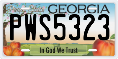 GA license plate PWS5323