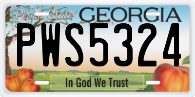 GA license plate PWS5324