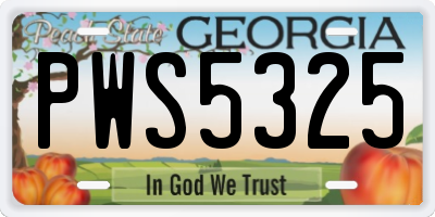 GA license plate PWS5325