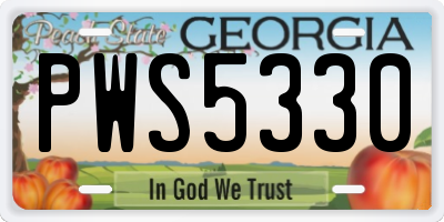 GA license plate PWS5330
