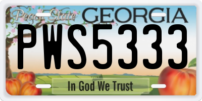 GA license plate PWS5333