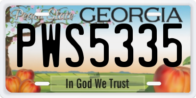 GA license plate PWS5335