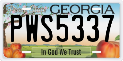 GA license plate PWS5337