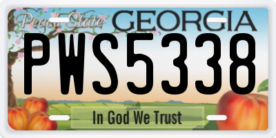 GA license plate PWS5338
