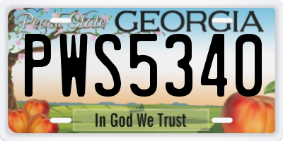 GA license plate PWS5340