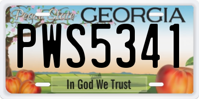 GA license plate PWS5341