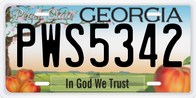 GA license plate PWS5342