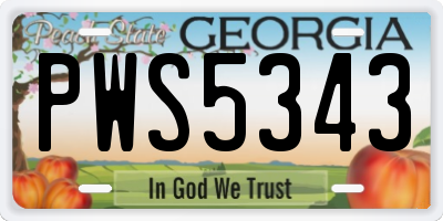 GA license plate PWS5343