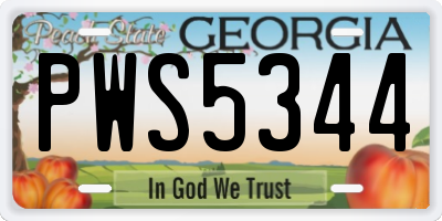 GA license plate PWS5344