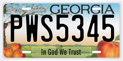GA license plate PWS5345