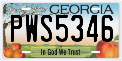 GA license plate PWS5346