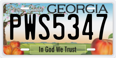 GA license plate PWS5347