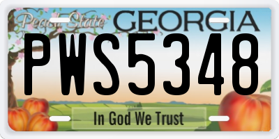 GA license plate PWS5348