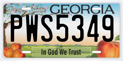 GA license plate PWS5349