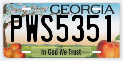 GA license plate PWS5351