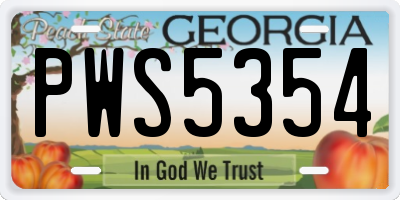 GA license plate PWS5354