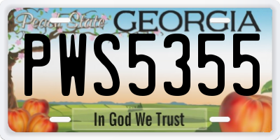 GA license plate PWS5355