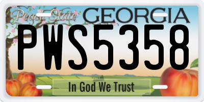 GA license plate PWS5358