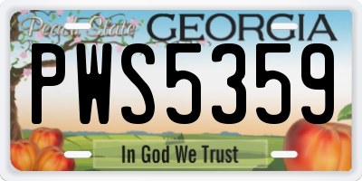 GA license plate PWS5359