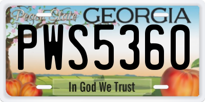 GA license plate PWS5360