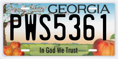 GA license plate PWS5361
