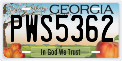 GA license plate PWS5362