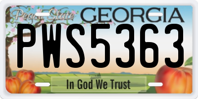 GA license plate PWS5363