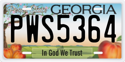 GA license plate PWS5364