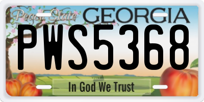 GA license plate PWS5368