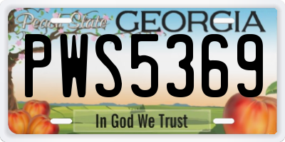 GA license plate PWS5369