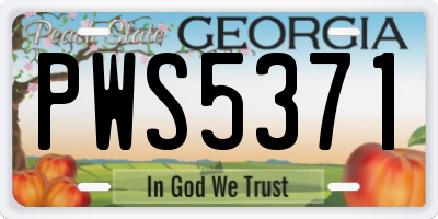 GA license plate PWS5371