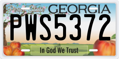 GA license plate PWS5372
