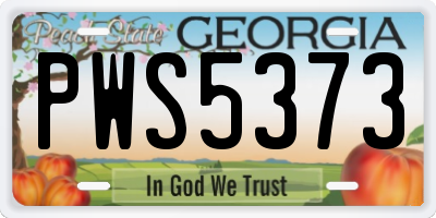 GA license plate PWS5373