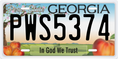 GA license plate PWS5374