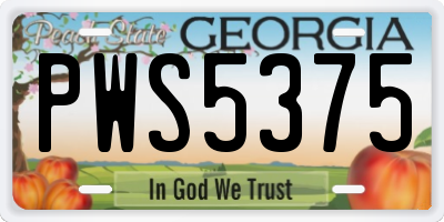 GA license plate PWS5375