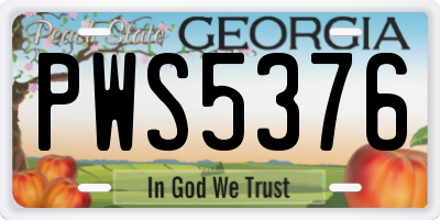 GA license plate PWS5376